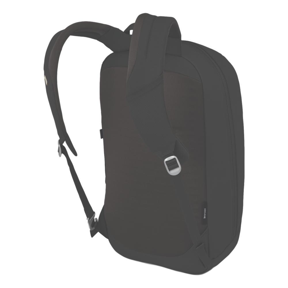 Whole Earth Provision Co. | OSPREY PACKS Osprey Arcane Large Day Pack